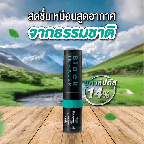 ยาดม เป๊ปเปอร์มิ้นท์ ฟิลด์ แบล็คอินเฮเลอร์ ขนาด 2 ซีซี จำนวน 3 ชิ้น